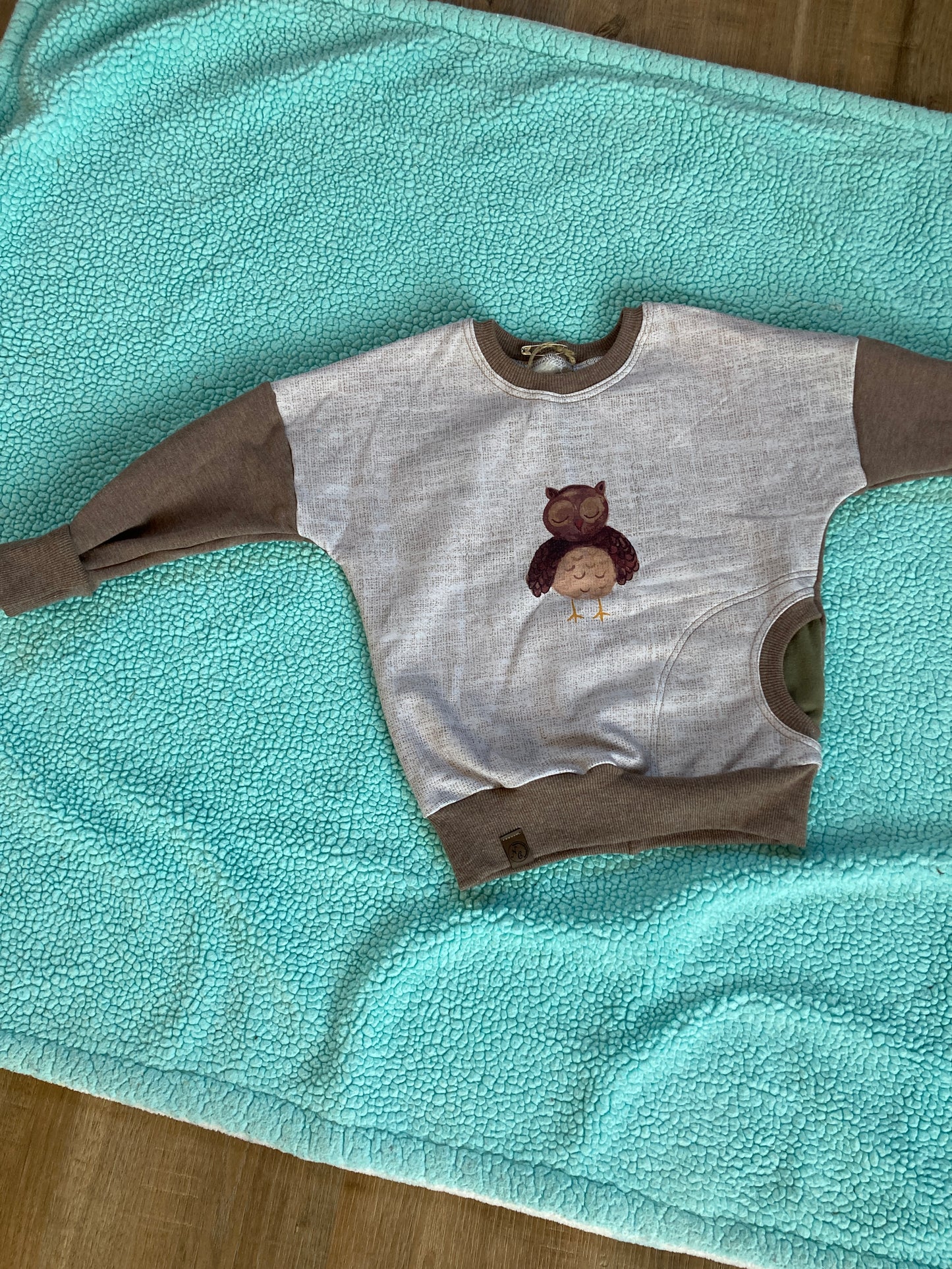 Grow with me Owl Pullover