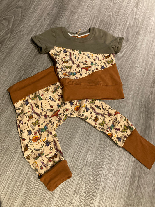 Insects Grow with me t-shirt and pants set