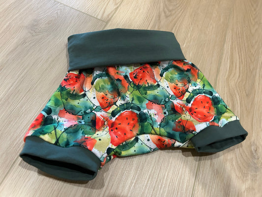 Watermelon Grow with me shorts