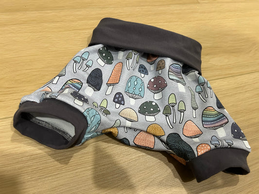Mushroom Grow with me shorts